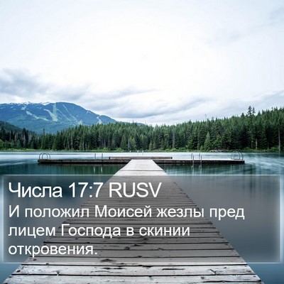 Числа 17:7 RUSV Bible Verse Image
