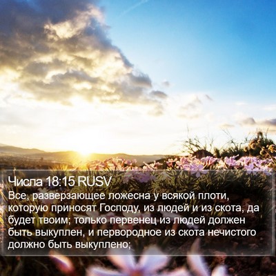 Числа 18:15 RUSV Bible Verse Image