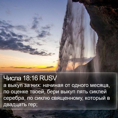 Числа 18:16 RUSV Bible Verse Image