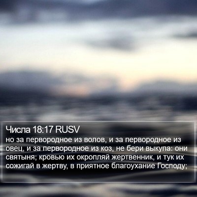 Числа 18:17 RUSV Bible Verse Image