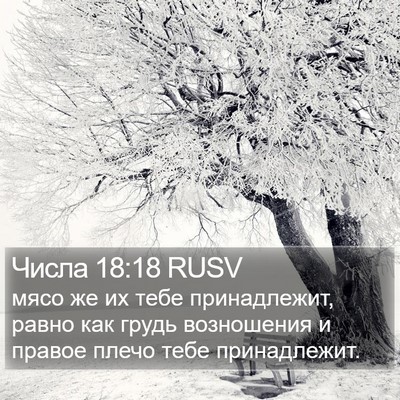 Числа 18:18 RUSV Bible Verse Image