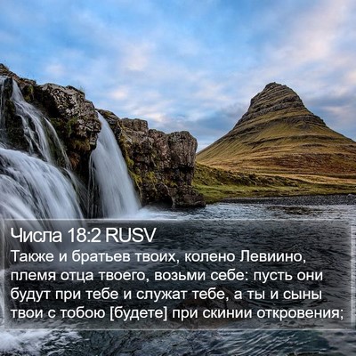 Числа 18:2 RUSV Bible Verse Image