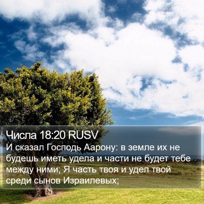 Числа 18:20 RUSV Bible Verse Image