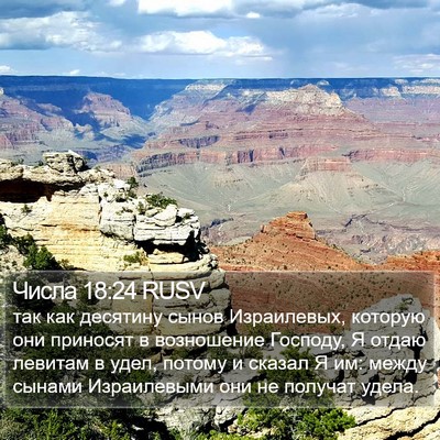 Числа 18:24 RUSV Bible Verse Image