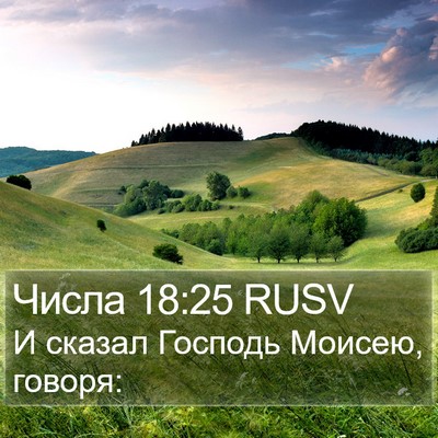 Числа 18:25 RUSV Bible Verse Image