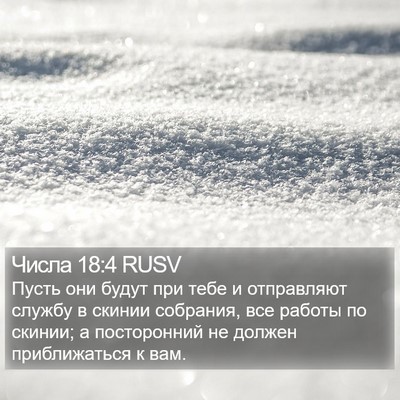 Числа 18:4 RUSV Bible Verse Image