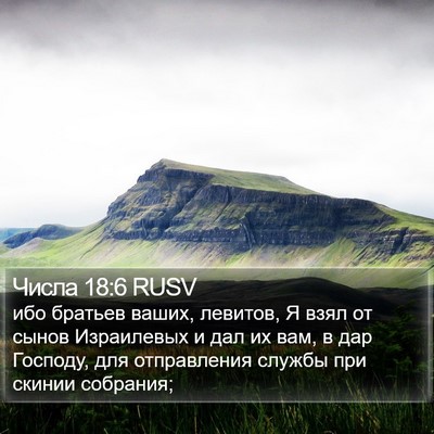Числа 18:6 RUSV Bible Verse Image