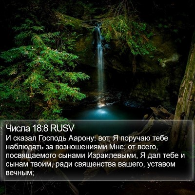 Числа 18:8 RUSV Bible Verse Image