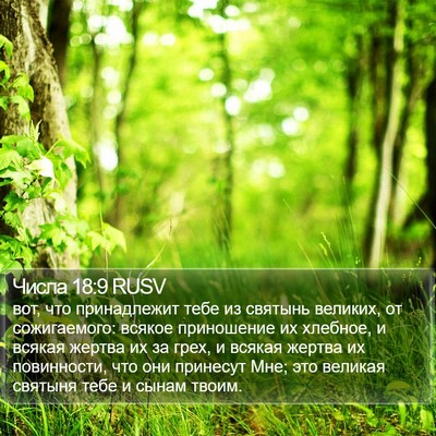Числа 18:9 RUSV Bible Verse Image