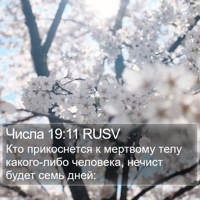 Числа 19:11 RUSV Bible Verse Image
