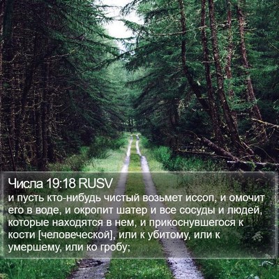 Числа 19:18 RUSV Bible Verse Image