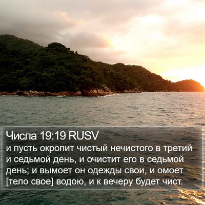Числа 19:19 RUSV Bible Verse Image