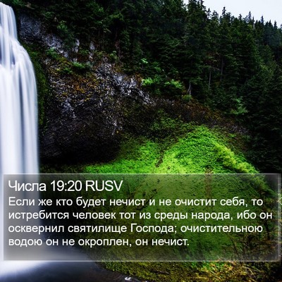 Числа 19:20 RUSV Bible Verse Image