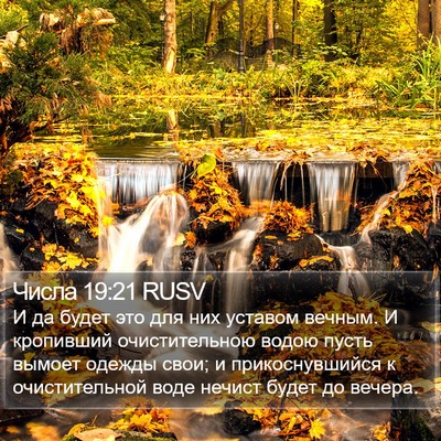 Числа 19:21 RUSV Bible Verse Image