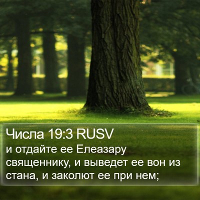 Числа 19:3 RUSV Bible Verse Image