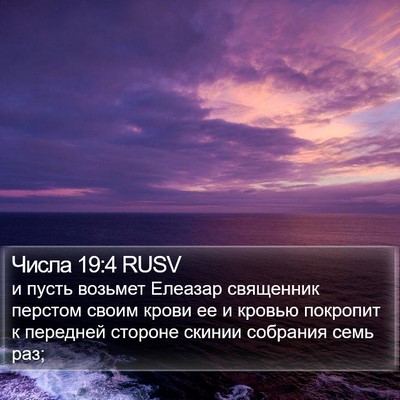 Числа 19:4 RUSV Bible Verse Image