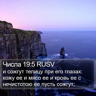 Числа 19:5 RUSV Bible Verse Image