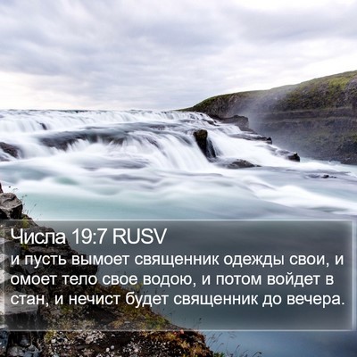 Числа 19:7 RUSV Bible Verse Image