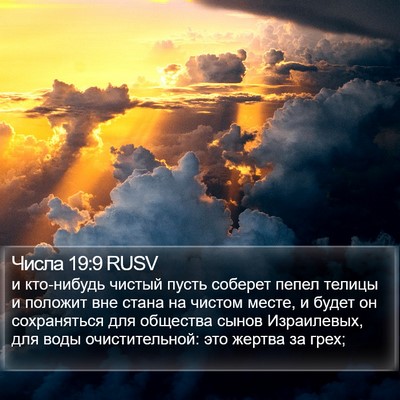 Числа 19:9 RUSV Bible Verse Image