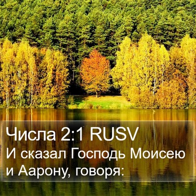 Числа 2:1 RUSV Bible Verse Image