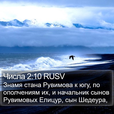 Числа 2:10 RUSV Bible Verse Image
