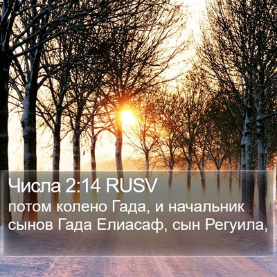 Числа 2:14 RUSV Bible Verse Image