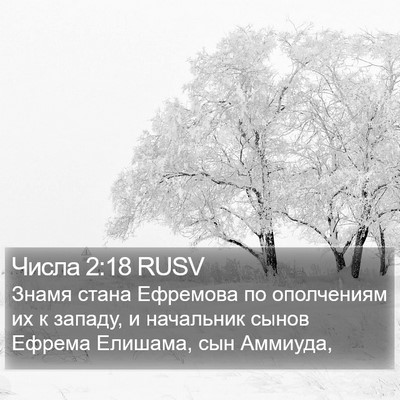 Числа 2:18 RUSV Bible Verse Image