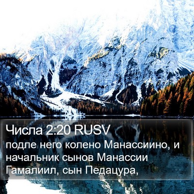 Числа 2:20 RUSV Bible Verse Image