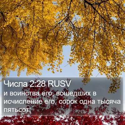 Числа 2:28 RUSV Bible Verse Image