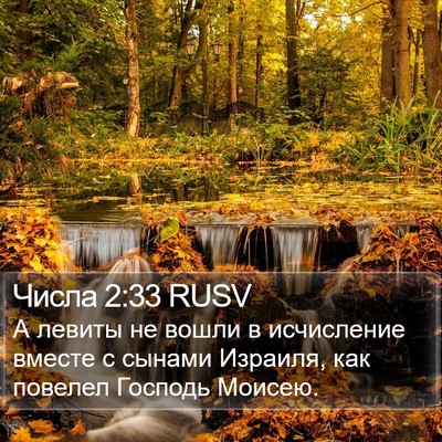 Числа 2:33 RUSV Bible Verse Image