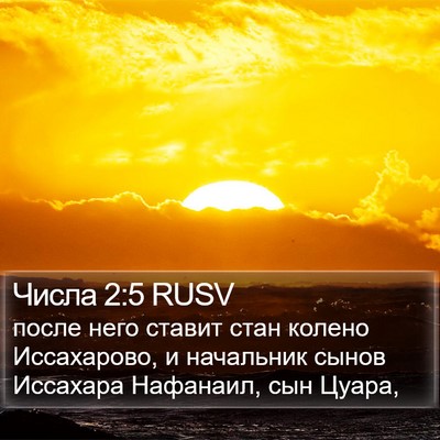 Числа 2:5 RUSV Bible Verse Image