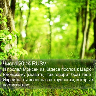Числа 20:14 RUSV Bible Verse Image