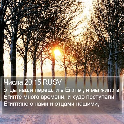 Числа 20:15 RUSV Bible Verse Image