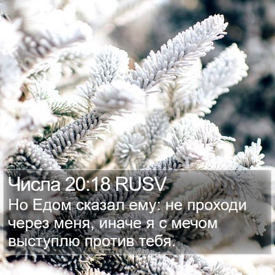 Числа 20:18 RUSV Bible Verse Image