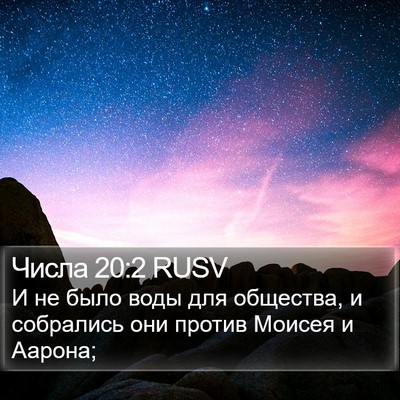 Числа 20:2 RUSV Bible Verse Image