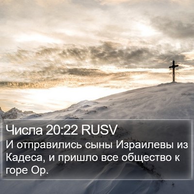 Числа 20:22 RUSV Bible Verse Image