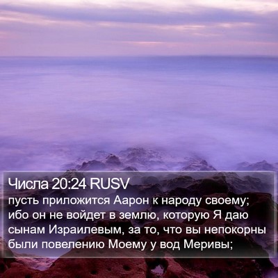 Числа 20:24 RUSV Bible Verse Image