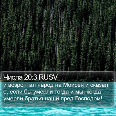 Числа 20:3 RUSV Bible Verse Image