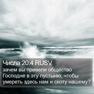 Числа 20:4 RUSV Bible Verse Image