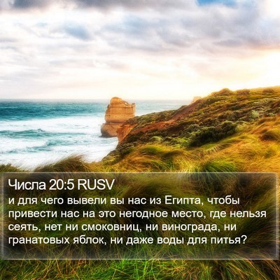 Числа 20:5 RUSV Bible Verse Image