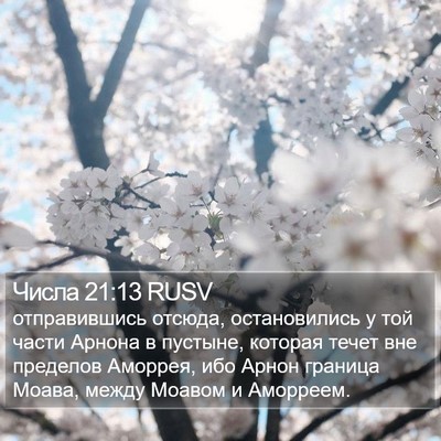 Числа 21:13 RUSV Bible Verse Image