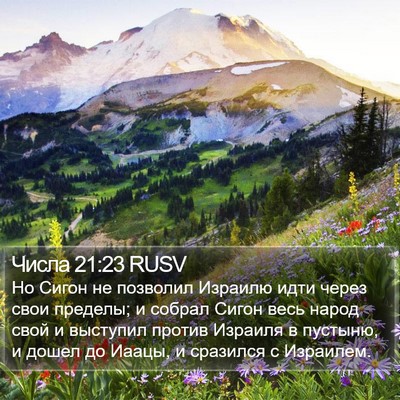 Числа 21:23 RUSV Bible Verse Image