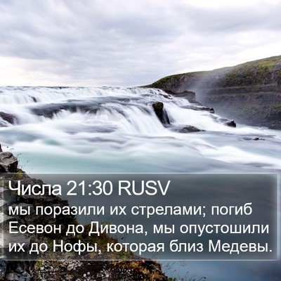 Числа 21:30 RUSV Bible Verse Image