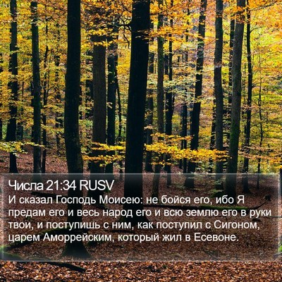 Числа 21:34 RUSV Bible Verse Image