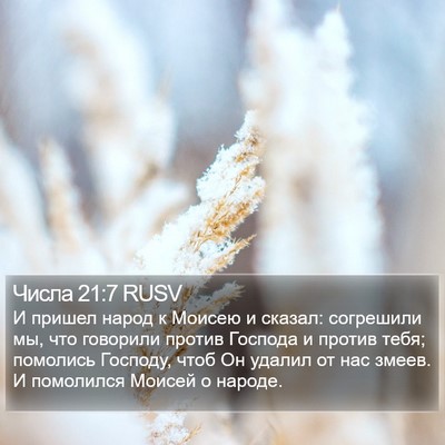 Числа 21:7 RUSV Bible Verse Image