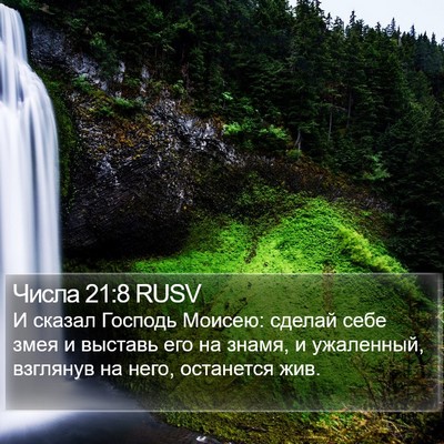 Числа 21:8 RUSV Bible Verse Image