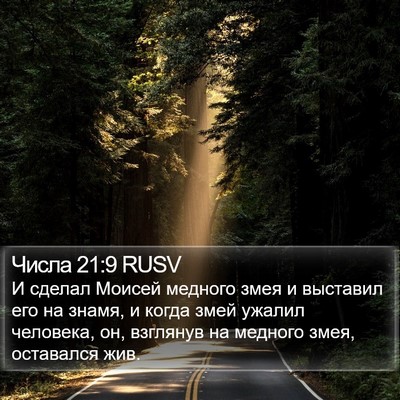 Числа 21:9 RUSV Bible Verse Image