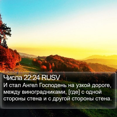 Числа 22:24 RUSV Bible Verse Image