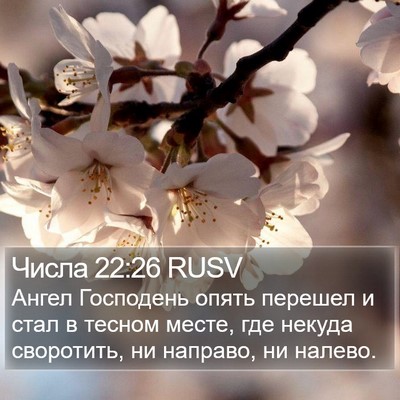 Числа 22:26 RUSV Bible Verse Image