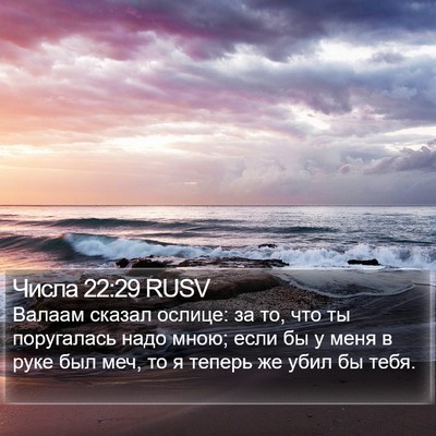 Числа 22:29 RUSV Bible Verse Image